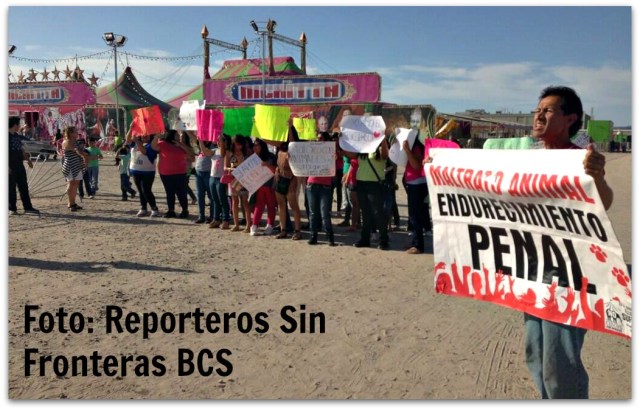 2 - 1 afuera del circo de nikita