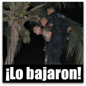 2 - 1 atrapado en cabo san lucas brinco techos