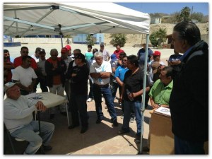 2 - 1 bahia tortugas procurador