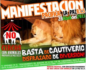 2 - 1 circo de nikkita