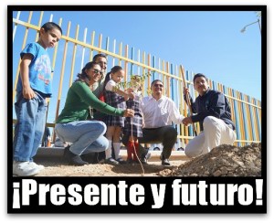 2 - 1 conafor arboles en la paz bcs