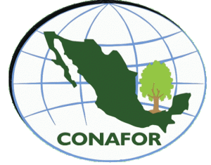 2 - 1 conafor baja california sur