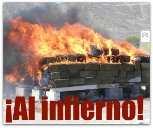 2 - 1 incinera mariguana y cocaina y cristal