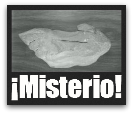 2 - 1 orangutan pieza misteriosa