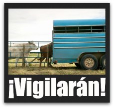 2 - 1 traslado ganado