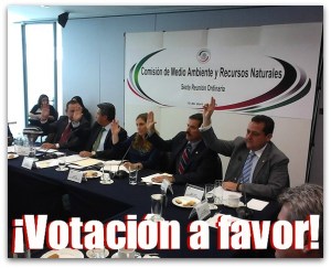 2 - 1 vota picore a favor de los animales