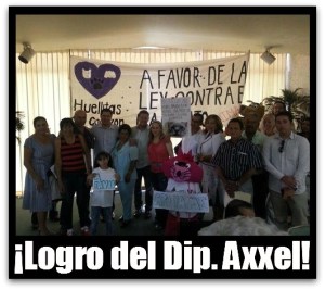 2 - 1 00 ley para proteccion de animales axxel sotelo