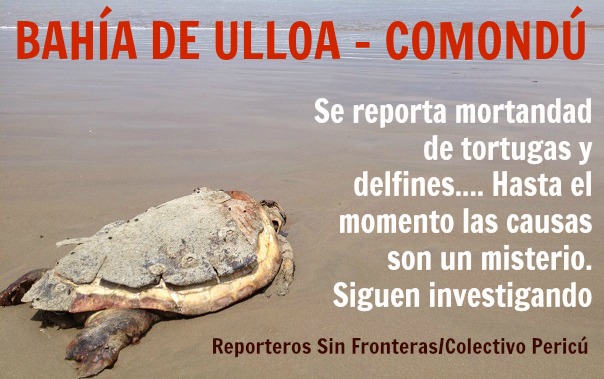 2 - 1 bahia de ulloa 2