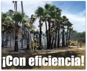 2 - 1 incendio palmar de santa rosa hoy jueves 9 de mayo