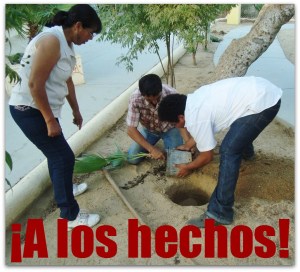 2 - 1 collazo pri dia medio ambiente 2