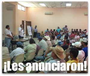 2 - 1 empleo temporal semarnat