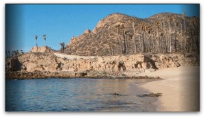 Playa Chileno - Foto de Semarnat.