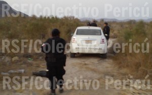 2 - 1 tabachines - periciales en el sitio