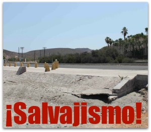 2 - 1 TAPADO ACCESO A MANGLAR PALMIRA 002