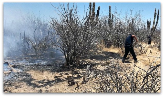 2 - 1 ayer combatieron incendio forestal