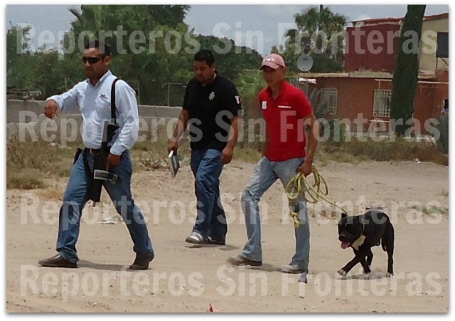 2 - 1 el perro terri sigue en custodia 001