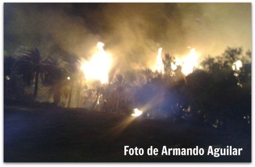 2 - 1 reportan incendio
