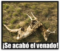 2 - 1 venado extincion