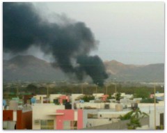 2 - 1 ballena columna de humo