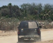 Se percataron de nuestra presencia y huyen de la escena, pero les tomamos fotos.