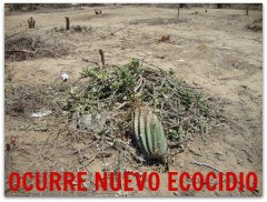 2 - 1 la ballena depredacion