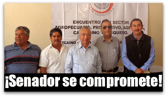 2 - 1 senador isaias en vizcaino