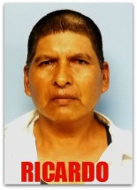 2 - 1 sspe ricardo modulo de pichilingue