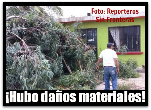 2 - 1 tormenta juliette arbol caido