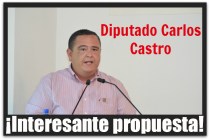 2 - 1 carlos castro proteccion civil