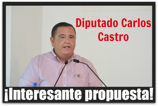 2 - 1 carlos castro proteccion civil