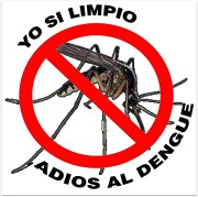 2 - 1 el dengue mosco zancudo