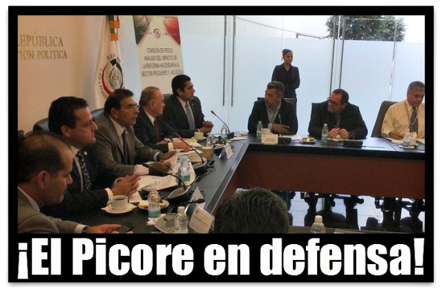 2 - 1 picore con el sector pesca