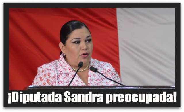 2 - 1 sandra luz si se preocupa