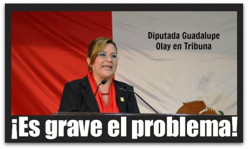 2 - 1 lupita olay delegado issste