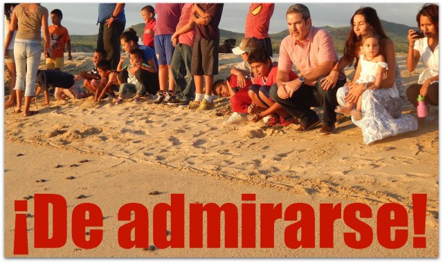 2 - 1 tortugas diputado treviño