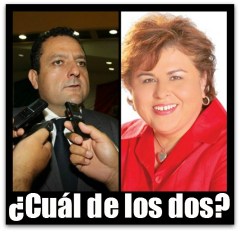 2 - 1 esthela y picore