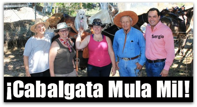 2 - 1 mula mil los cabos tecate