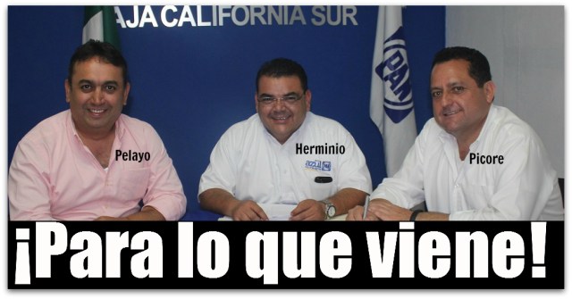 2 - 1 pelayo y picore