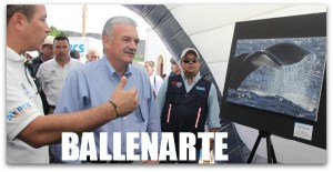 2 - 1 vino san jose de comondu ballenarte