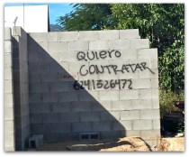 2 - 1 whale ballena desean hacer contratos