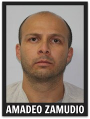 2 - 1 zamudio amadeo