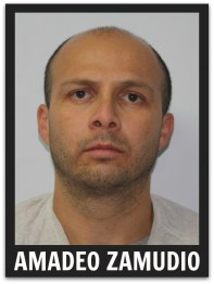 2 - 1 zamudio amadeo