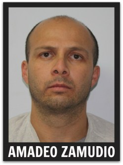 2 - 1 zamudio amadeo