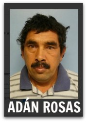 2 - 1 adan rosas - detenido con cristal