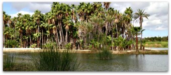 2 - 1 estero de san jose del cabo 2013