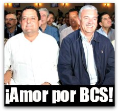 2 - 1 picore primer informe 003