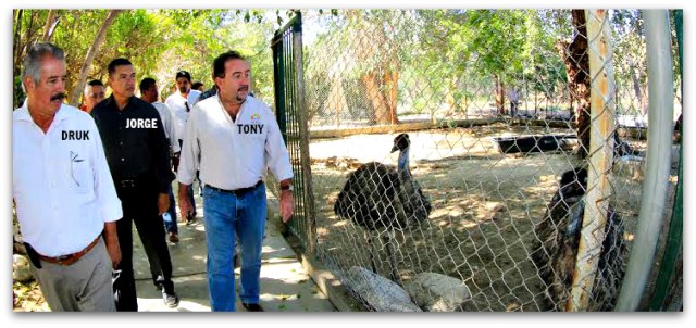 2 - 1 zoologico de santiago ok