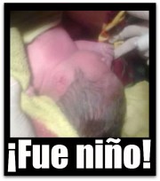 2 - 1 atendieron parto voluntarios calafia la paz bcs