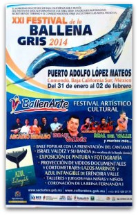 2 - 1 ballena gris lopez mateos