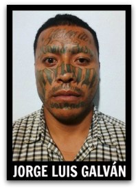 2 - 1 galvan robo agravado guerrero negro